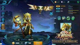 合集王者新爆料视频大全