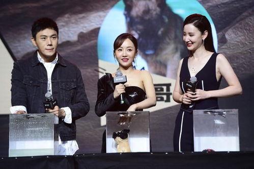 娱乐圈最新照片爆料大全,明星私照大揭秘！